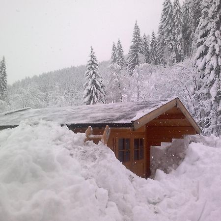 Appartement Schmittenblick Zell am See Buitenkant foto